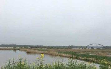 Weekend wandelen in Culemborg, even ertussenuit Weekend wandelen in Culemborg