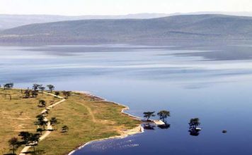 Mijn tien populairste Instagram foto’s na een half jaar Mijn tien populairste Instagram foto's na een half jaar - nummer 1 Landschap van Lake Nakura in Kenia