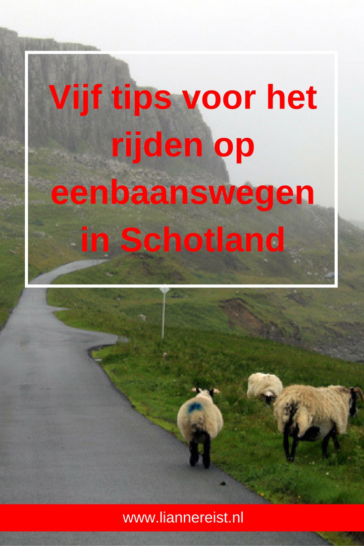 Vijf tips voor het rijden van eenbaanswegen in Schotland
