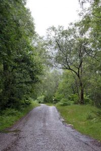 Verrassende watervallen Schotland - Eenbaansweg naar Nevis Gorge