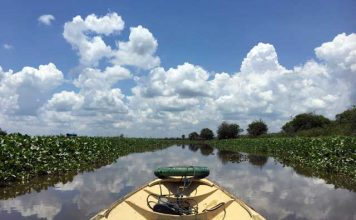 De Mahakam rivier in Kalimantan: een dag op het water Mahakam rivier in Kalimantan: een boottocht